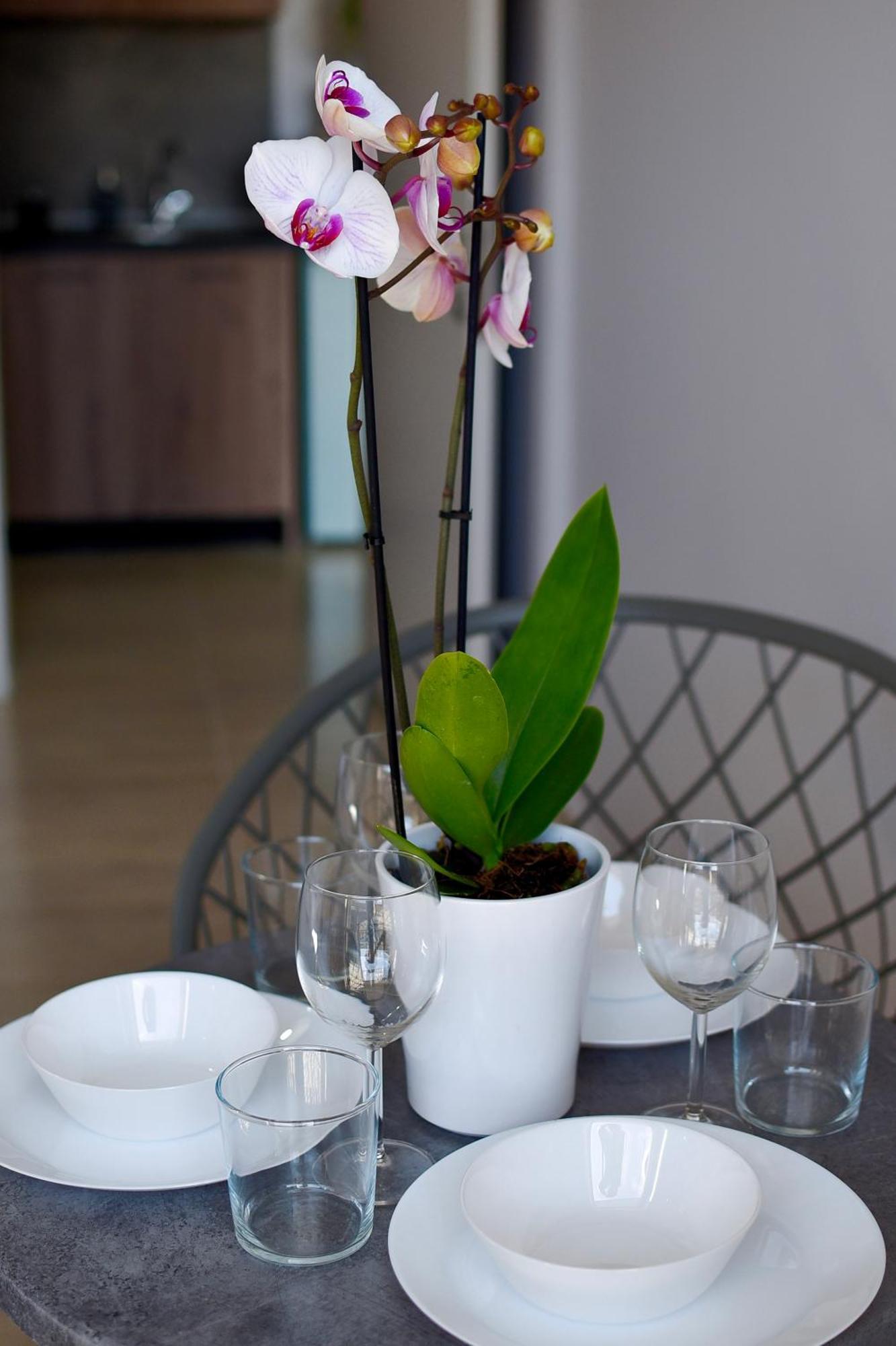 Room Nine 9 Beachfront Apartments Nea Kallikrateia Екстериор снимка