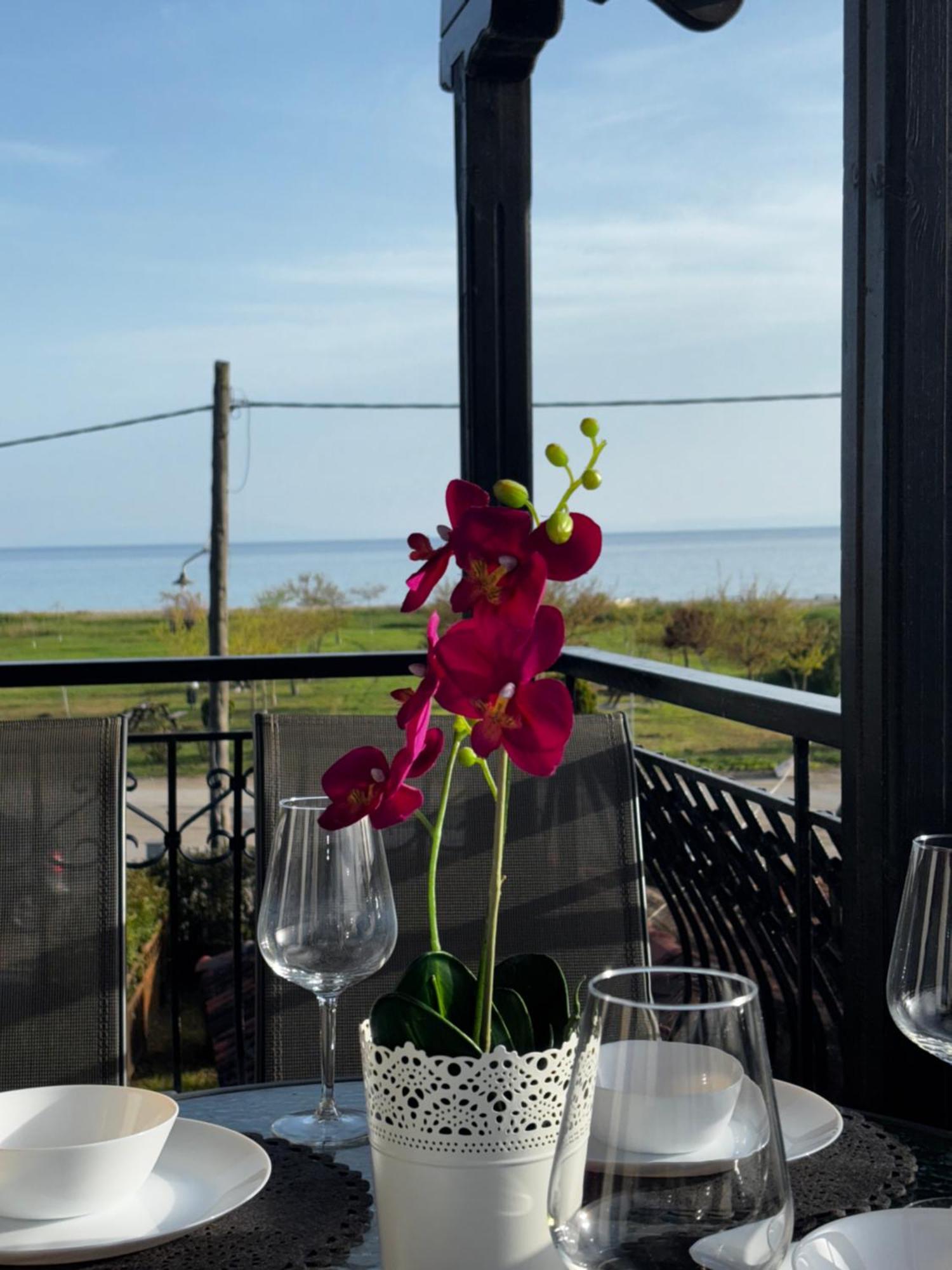 Room Nine 9 Beachfront Apartments Nea Kallikrateia Екстериор снимка